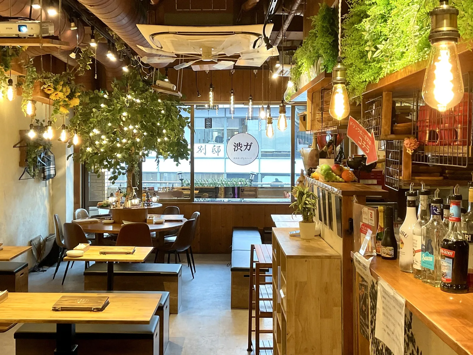 渋谷ガーデンスペース道玄坂店 窓際のテーブル席と観葉植物装飾